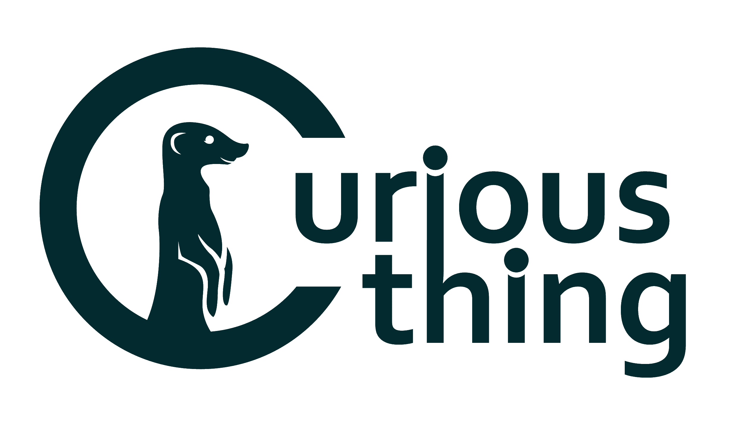 curiousthing logo